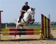 Hest til salg - Cato