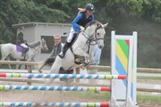 Hest til salg - Malmak