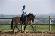 Hest til salg - SCARLETT
