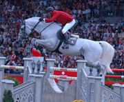 Hest til salg - HVID'S CAVALLINA