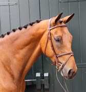 Hest til salg - Le tot de semilly x Narco