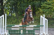 Hest til salg - Ferrari