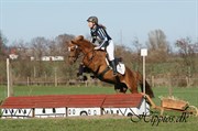 Hest til salg - ARGOS HIPPIOS