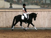 Hest til salg - KÆRLUNDS VALENCIA