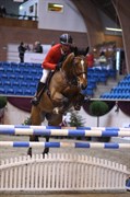 Hest til salg - ONE DE BOUGNON