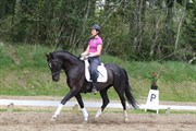 Hest til salg - LeeAnn