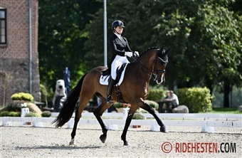 Fra DV-auktion til Grand Prix-sejr