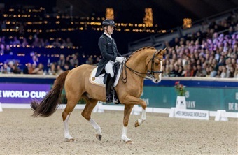 Verboomen suver&aelig;n i Neumünster