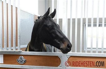 Fürstenball fylder 20 &aring;r i dag