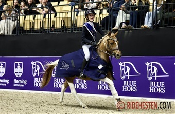 Nord-Vest Box Cup-vinderne er fundet