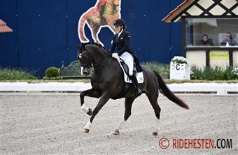 Horses & Dreams 20-&aring;rs jubil&aelig;um med dansk deltagelse