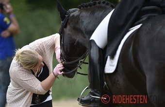 FEI-blodregel udfordrer hestevelf&aelig;rd