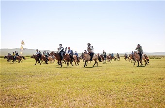 Fra isl&aelig;nder til 850 km p&aring; mongolsk hingst