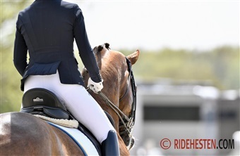 Forskning vil bel&oslash;nne harmoni i dressur