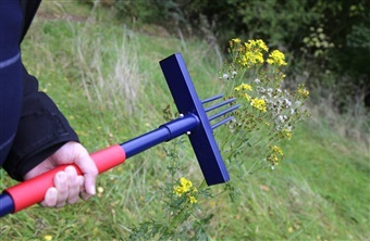 S&aring;dan bek&aelig;mper du let engbrandb&aelig;ger