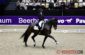 Internationale starter - uge 51