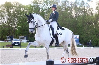 Aalborg Dressage Event er for alle