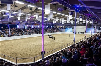 Helgstrand og Schockemöhles hingstefremvisning