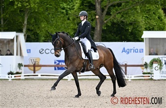 Internationale starter - uge 6