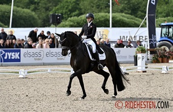 Internationale starter - uge 15