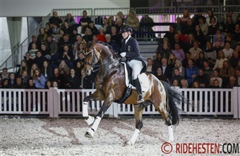 Unge hingste og st&aelig;rke profiler hos Helgstrand Dressage