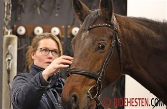 Trense og bid skal ogs&aring; tilpasses