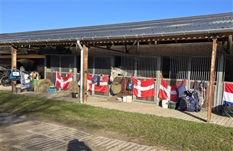 Danske TREC-ryttere i flot s&aelig;son&aring;bning