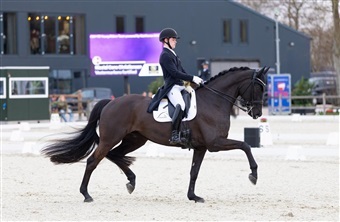 F&oslash;rste mesterskab nogensinde: Nicolai skal ride NM for Danmark