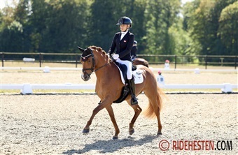 EM-pony solgt til Sverige: – Hun var min hjertepony