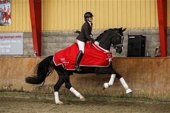 DV egnethedstest springning dressur region 1