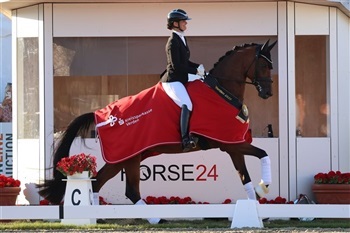 WBFSH World Breeding Dressage Championships Verden UVM