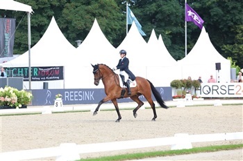 WBFSH World Breeding Dressage Championships Verden UVM