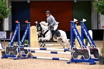 Scandinavia Jumping Tour pony