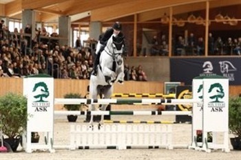 Stutteri Ask og Blue Hors åbent hus