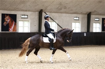 Åbent hus Følle Strandgaard