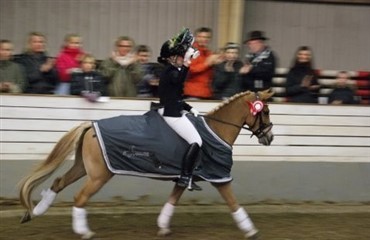 Horseworld Cup for ponyer
