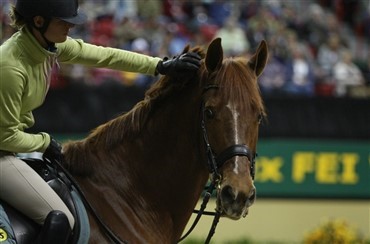 Parzival under rytter igen