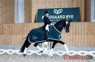 Finalejagten spidser til i Bundgaard Byg Cup