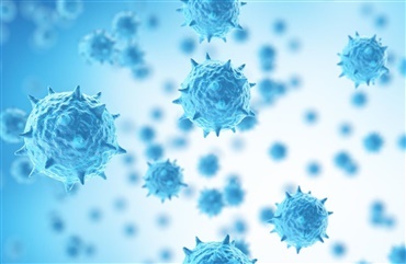 Nyt udbrud af herpesvirus i Jylland