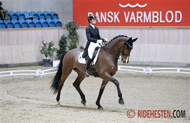 Flot ridning ved landsst&aelig;vne i Aarhus