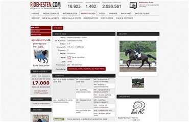 - Det bedste sted at s&aelig;lge heste