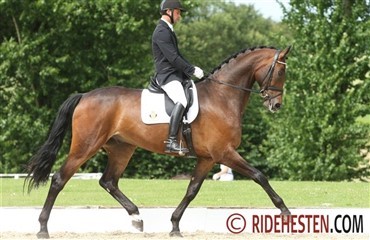 Rollo solgt til Emma Nymand