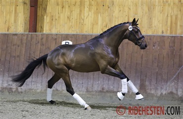 Be Zafe opfylder dr&oslash;m for Sophie og Maria
