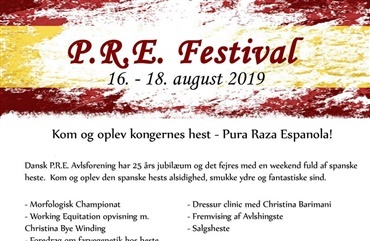 Festival for spanske heste