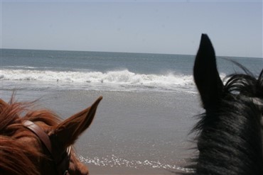 Falsterbo g&aring;r i luften