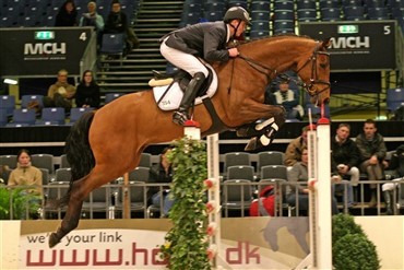 Unghestechampionatet er i gang