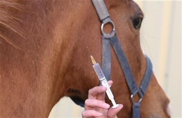 Har du styr p&aring; regler om medicin og doping?