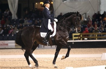 Dansk dressurdominans i Gladstone