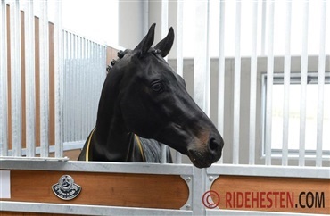 Fürstenball fylder 20 &aring;r i dag
