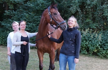 Meister vil blive savnet